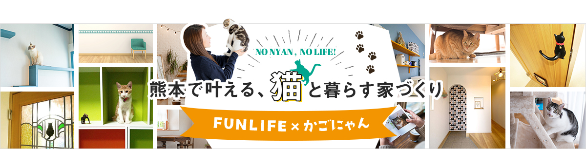 NO NYAN ,  NO LIFE! 熊本で叶える、猫と暮らす家づくり