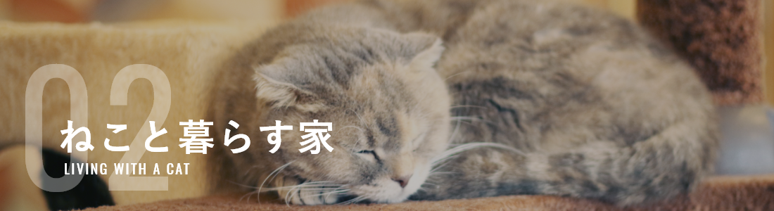 ねこと暮らす家