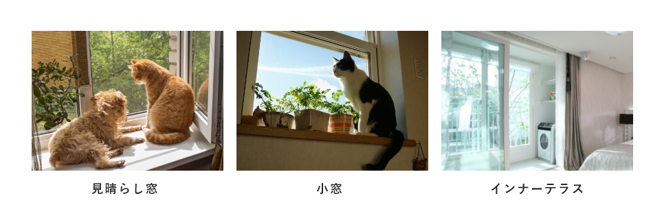窓がたくさんの家