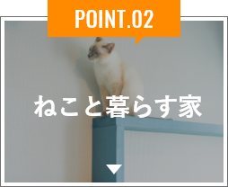 ねこと暮らす家